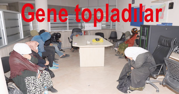 Yalova da dilenciler toplandı