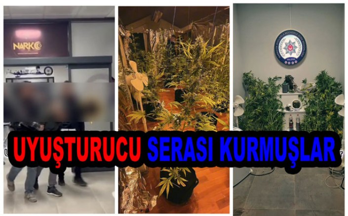 YALOVA’DA EVDEN KENEVİR SERASI ÇIKTI