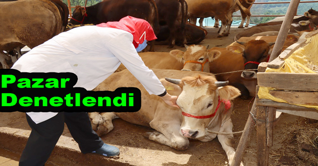 Yalova da Kurban pazarı denetlendi