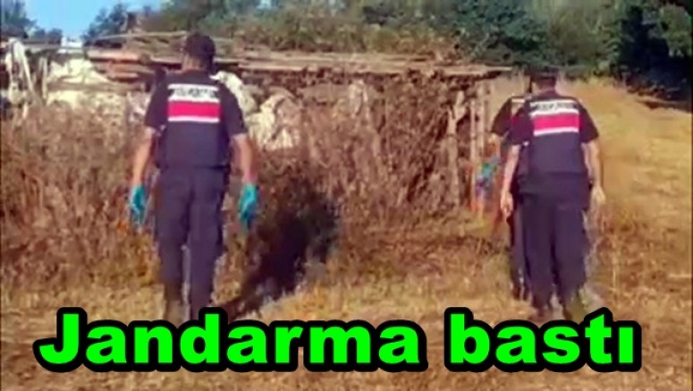 YALOVA’DA METAMFETAMİN VE 40 KÖK KENEVİR ELE GEÇİRİLDİ