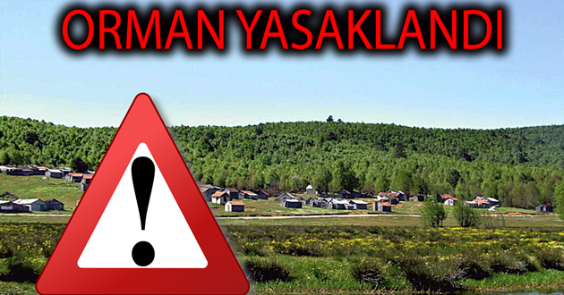 Yalova da Ormana girmek yasaklandı