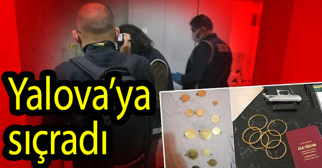 Yalova da Sahte rapor düzenleyenlere operasyon