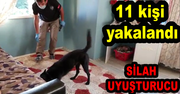 Yalova da uyuşturucu operasyonu yapıldı