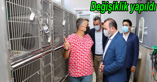 Yalova da Veterinerlik değişti