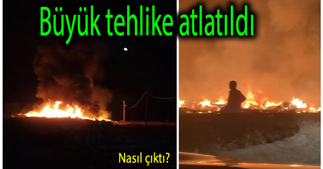 Yalova da yangın söndürüldü