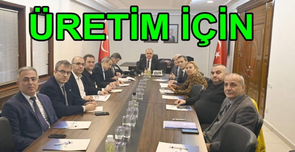 YALOVA İSTİHDAMI MASAYA YATIRILDI