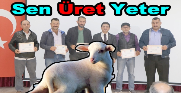 YALOVA KIVIRCIK KOYUNU TANITILDI