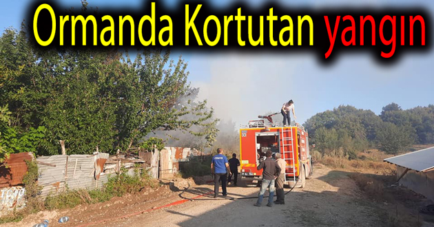 Yalova ormanlarında korkutan yangın