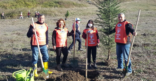 ​Yalova Tema fidan dikti