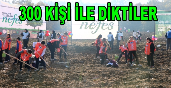 YALOVA TEMA GELECEĞE NEFES OLDU