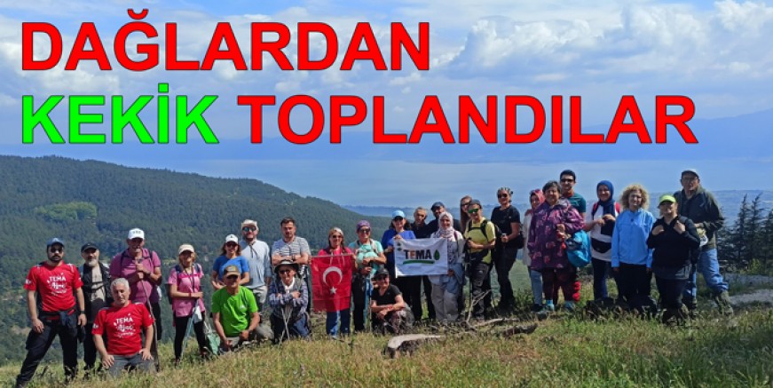 YALOVA TEMA GÖNÜLLÜLERİYLE DOĞADA KEKİK TOPLADI
