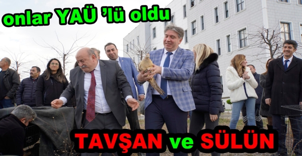 YALOVA ÜNİVERSİTESİNE  SÜLÜN ve TAVŞAN SALINDI