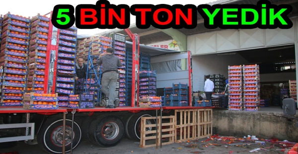 YALOVA’DA 5 TON SEBZE MEYVE TÜKETİLDİ