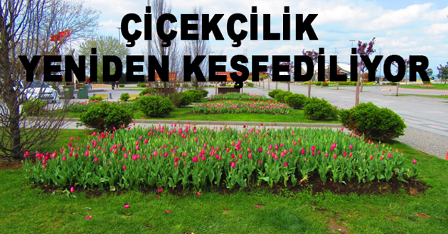 YALOVA’DA ÇİÇEKÇİLİK YENİDEN  KEŞFEDİLİYOR
