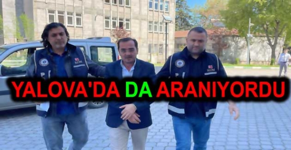 YALOVA'DA DA ARANIYORDU