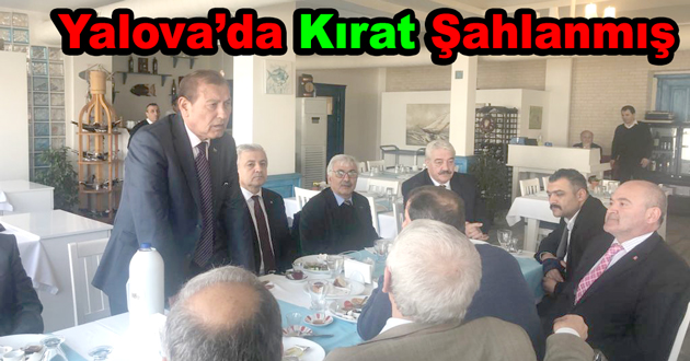Yalova’da Kırat Şahlanmış