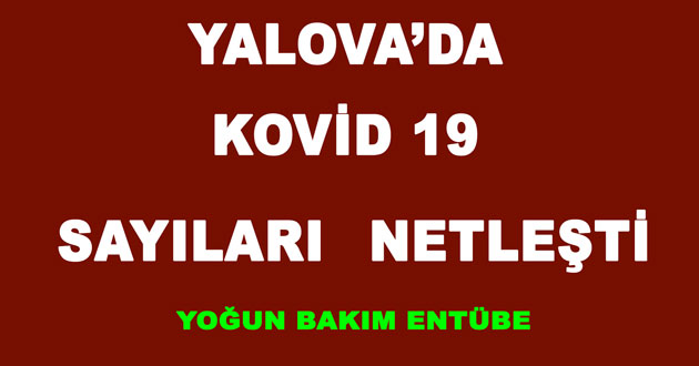 Yalova'da Kovid 19 sayıları netleşti