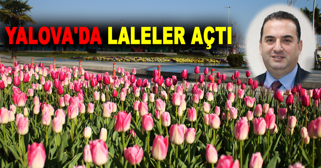 YALOVA'DA LALELER AÇTI