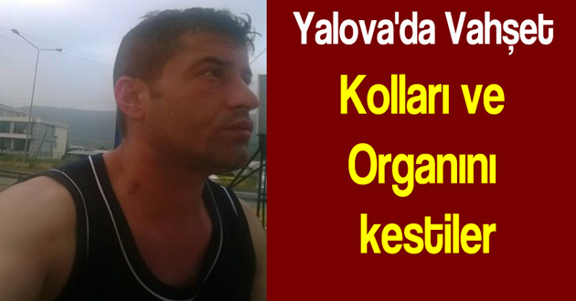 Yalova'da Vahşet