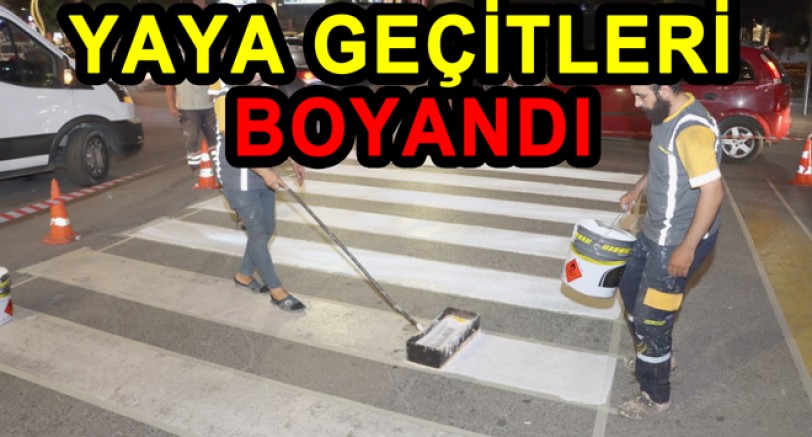 YALOVADA YAYA GEÇİTLERİ BOYANIYOR