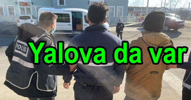 YALOVA'DAN DA VERİ TOPLAMIŞLAR