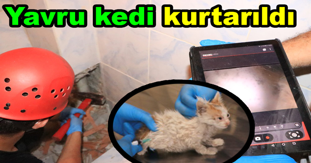 YAVRU KEDİ SIKIŞTIĞI YERDEN KURTARILDI