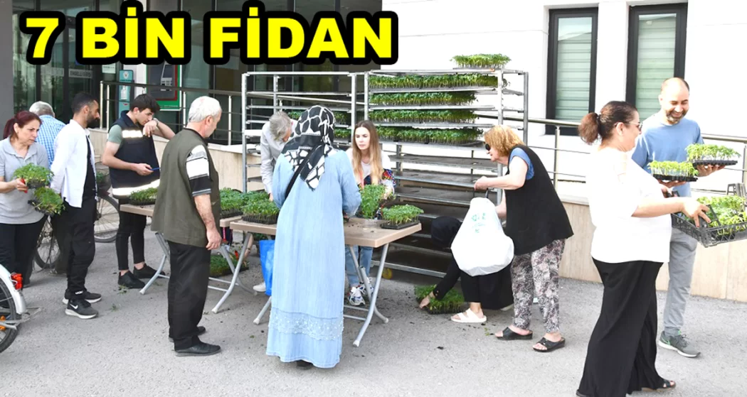 YEDİ BİN DOMATES FİDESİ DAĞITILDI
