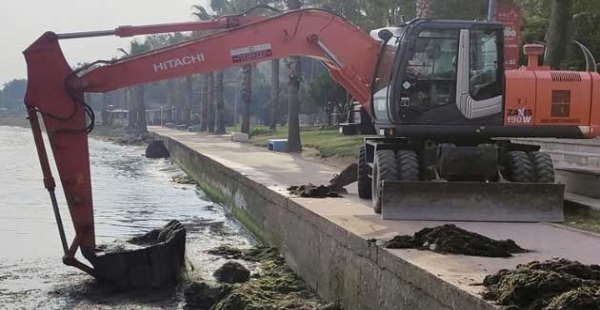 YOSUNLA MÜCADELE DEVAM EDİYOR