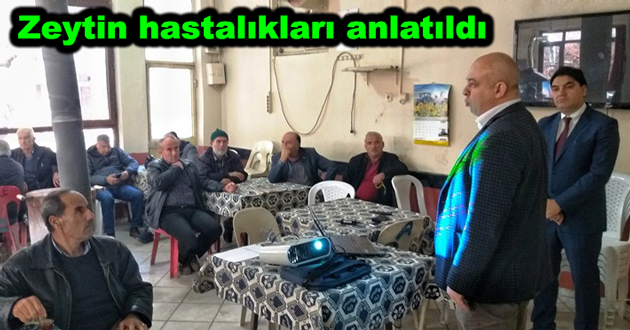 Zeytin hastalıkları anlatıldı